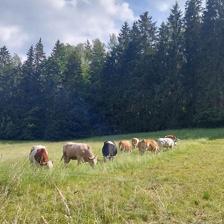 Ferienhaus Rosemarie Erlbach Vogtland Exteriör bild