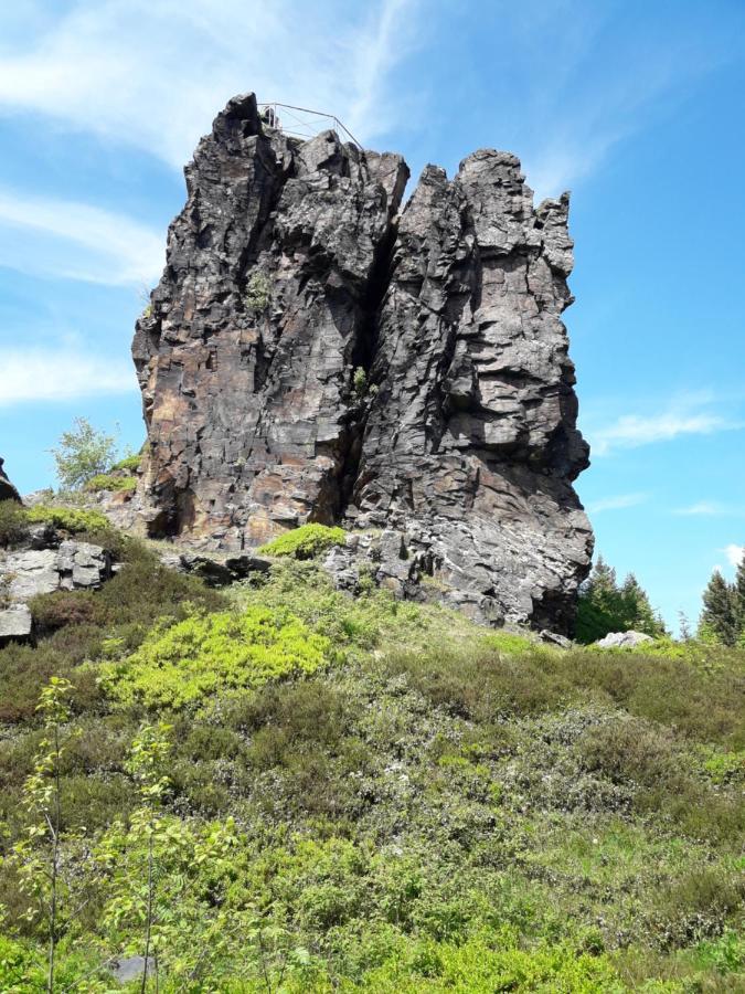 Ferienhaus Rosemarie Erlbach Vogtland Exteriör bild