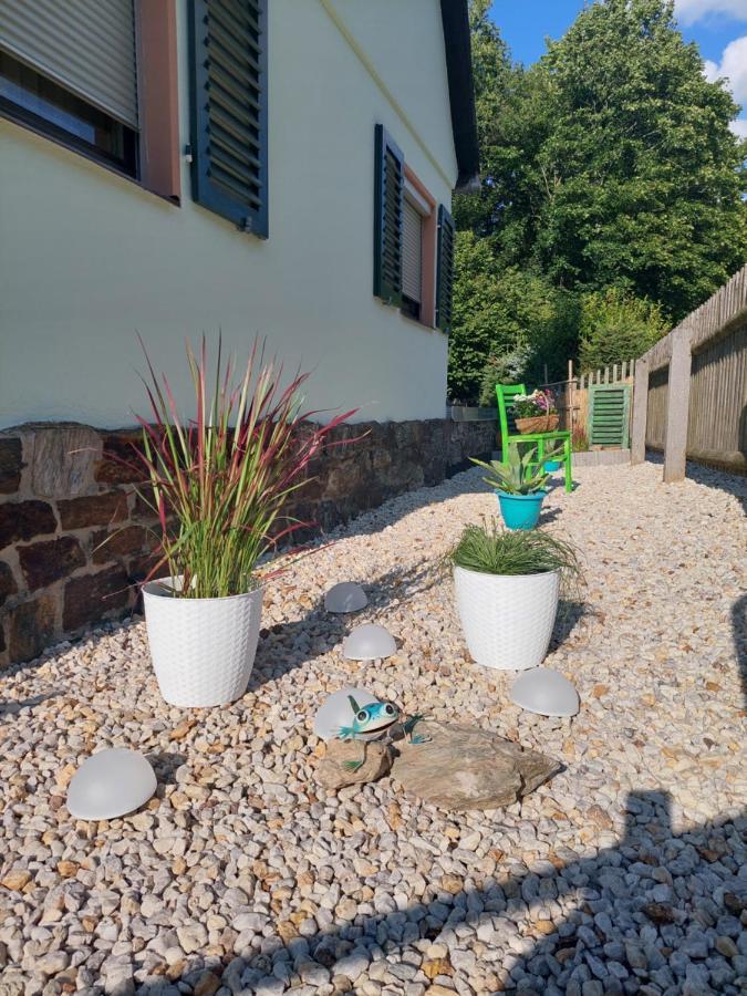Ferienhaus Rosemarie Erlbach Vogtland Exteriör bild