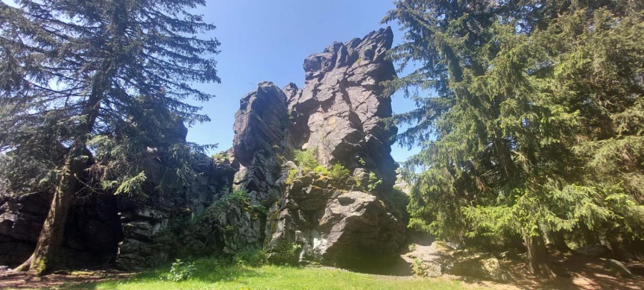 Ferienhaus Rosemarie Erlbach Vogtland Exteriör bild