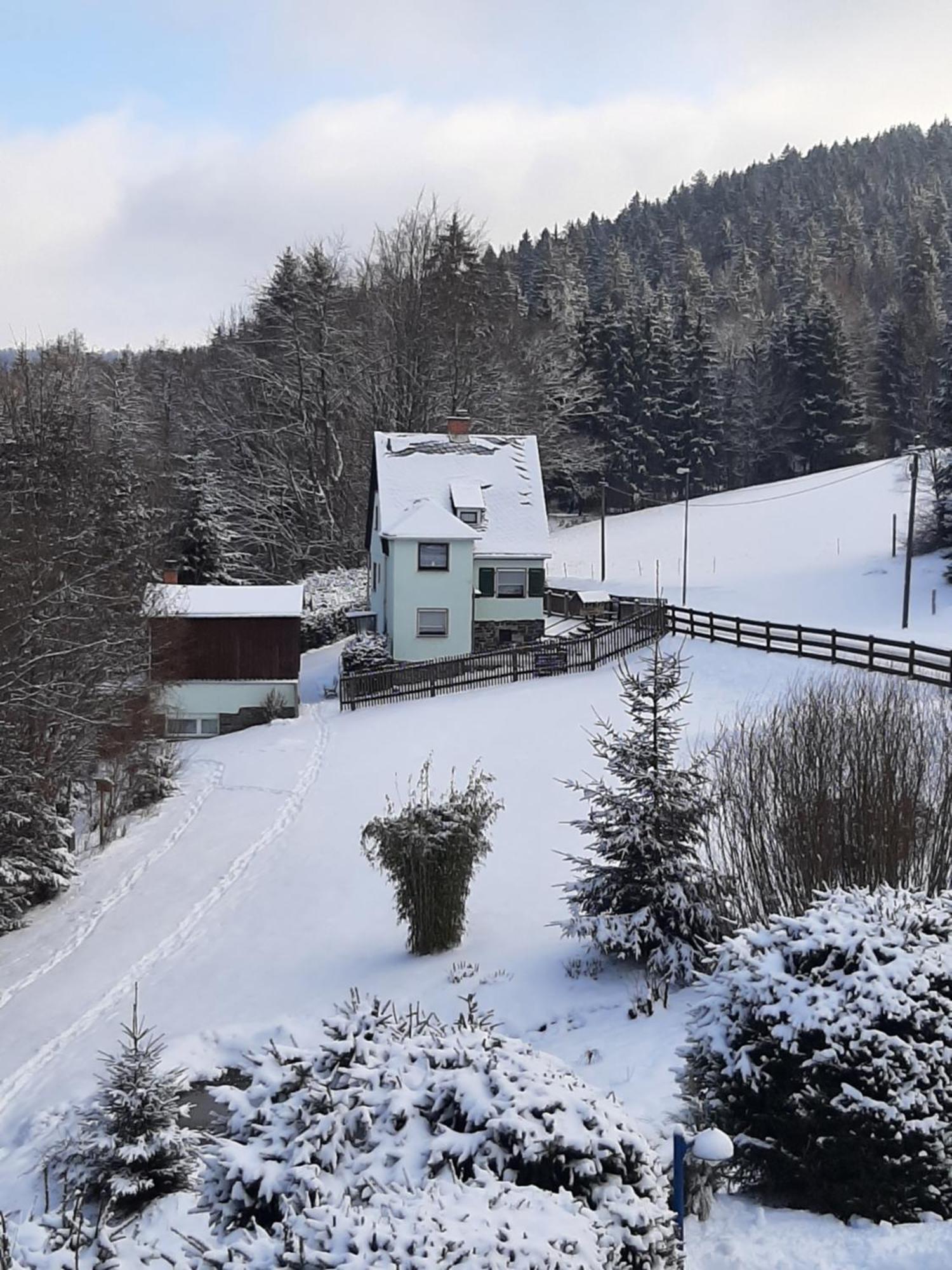 Ferienhaus Rosemarie Erlbach Vogtland Exteriör bild