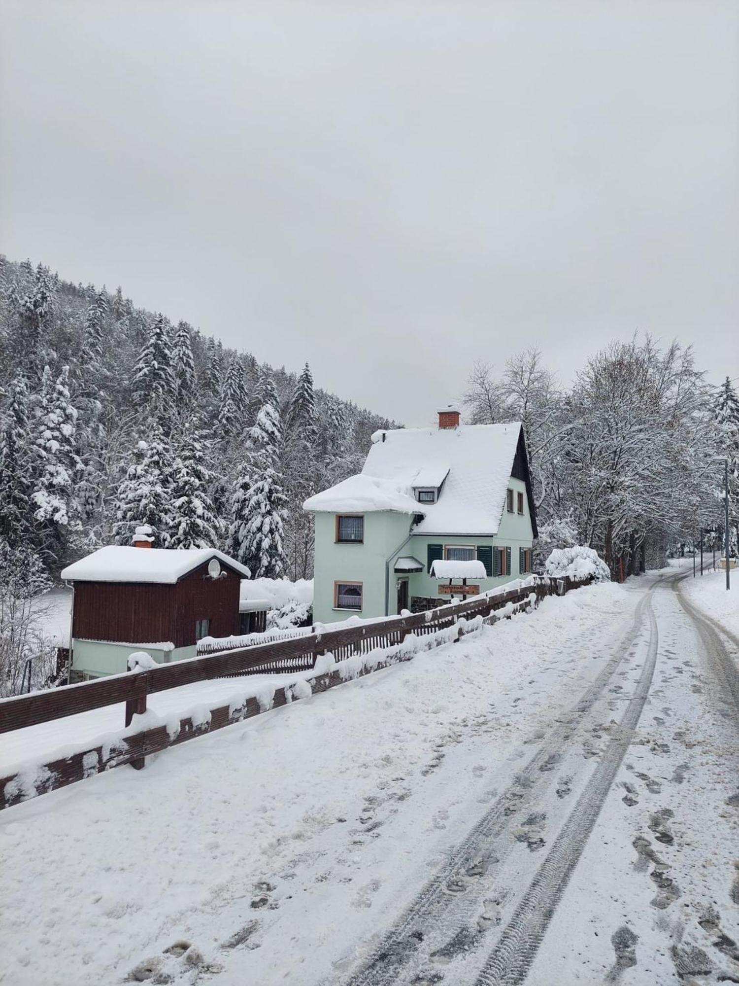Ferienhaus Rosemarie Erlbach Vogtland Exteriör bild