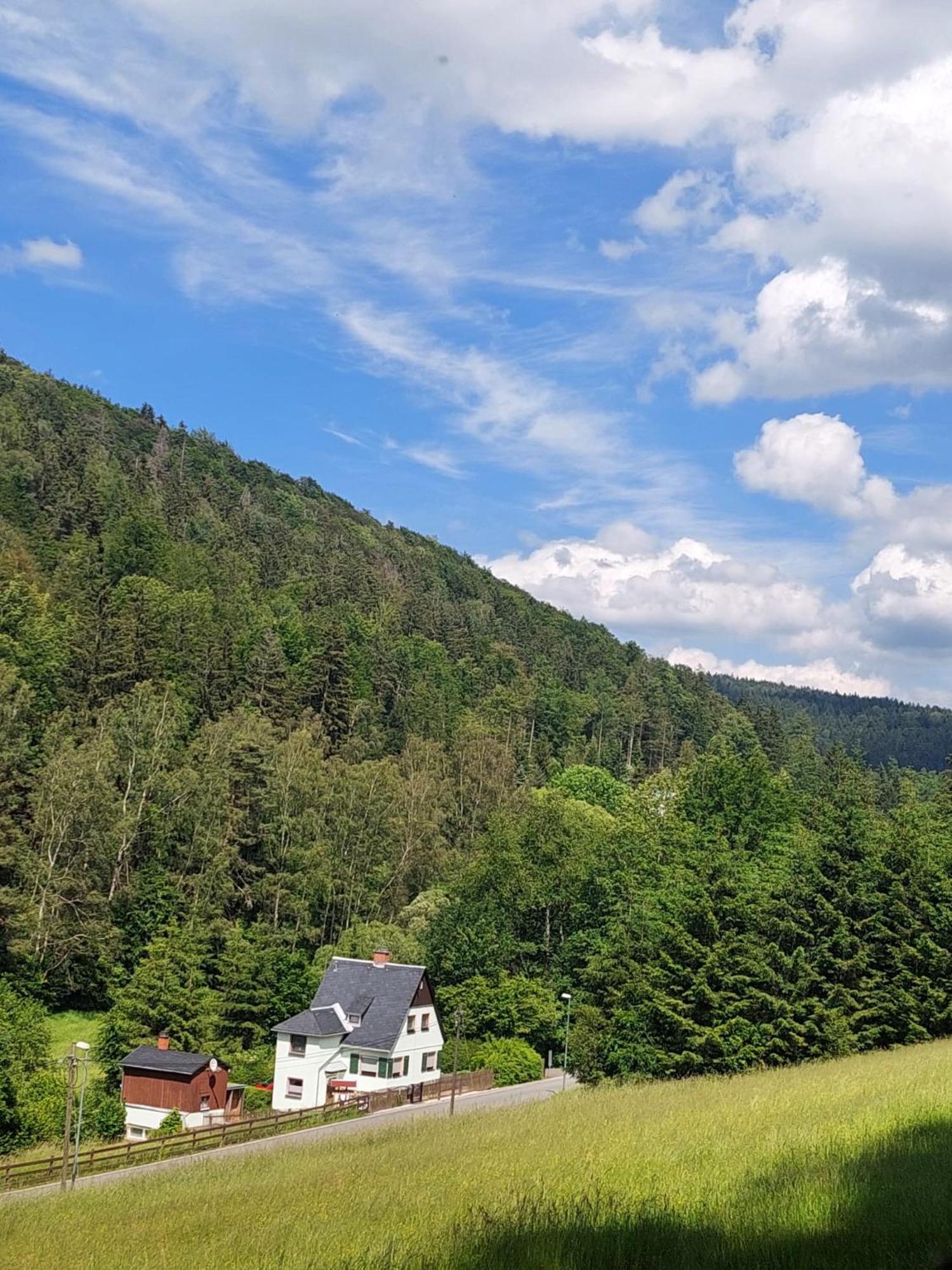 Ferienhaus Rosemarie Erlbach Vogtland Exteriör bild